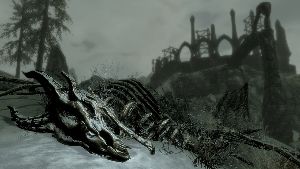 DragonSkeleton